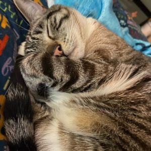 Meet your Posher, Angeleena